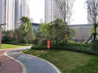 一分pk拾官网㊙：✅正版APP下载地址、APP安装