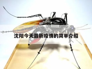 沈阳今天最新疫情的简单介绍