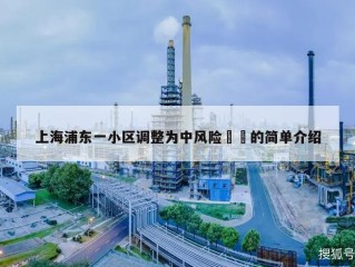 上海浦东一小区调整为中风险㊙️的简单介绍