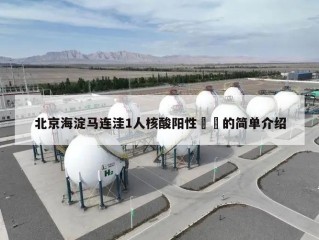 北京海淀马连洼1人核酸阳性㊙️的简单介绍