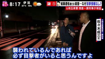 小男孩与警方宣传画中的三只手，一场奇妙的冒险